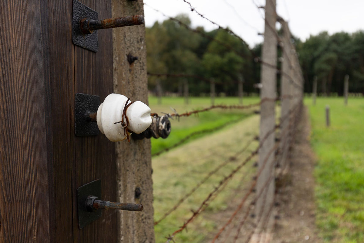 Isolator op een houten paal in een groene weide, onderdeel van een schrikdraadafrastering