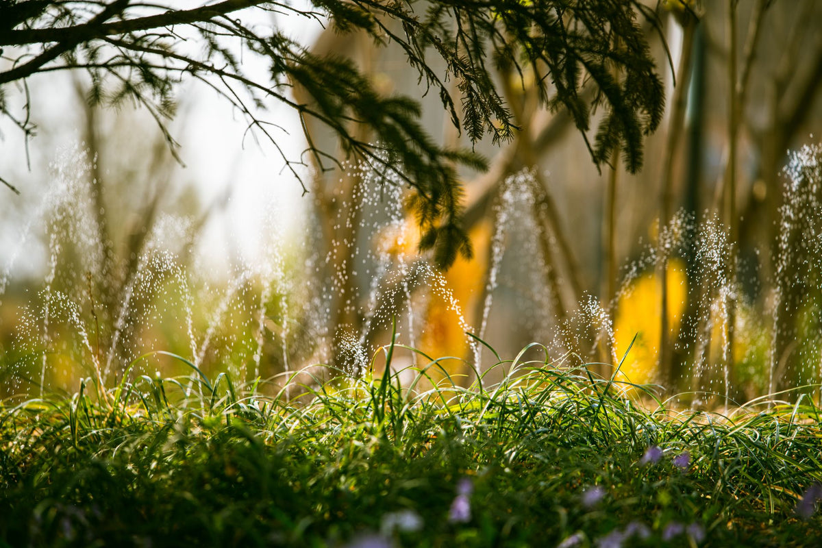 Sproeiers beregenen groen gazon op een zomerse dag
