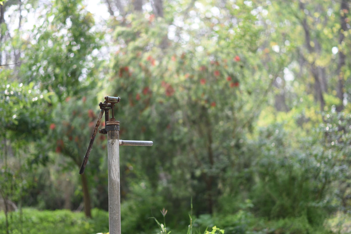 Automatische sproeier in een groene tuin voor beregeningsaansturing
