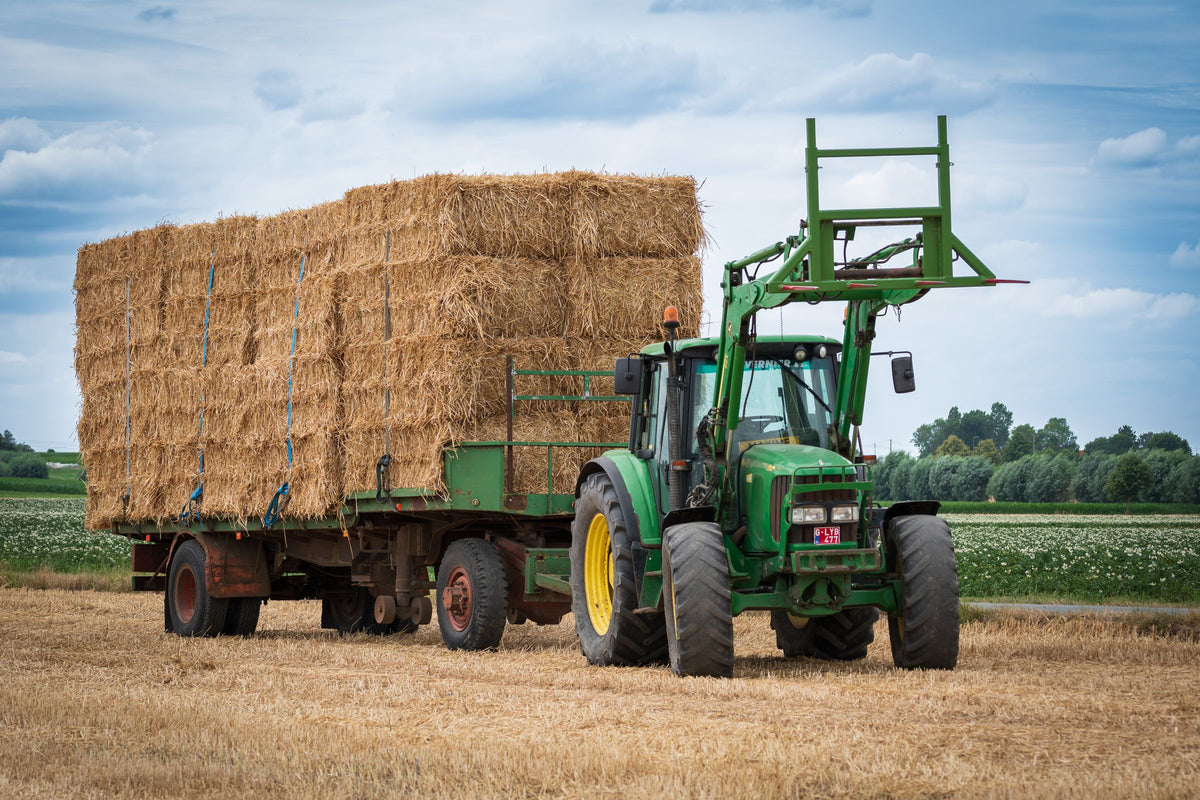 Trekker vervoert een volgeladen wagen met balen over het land