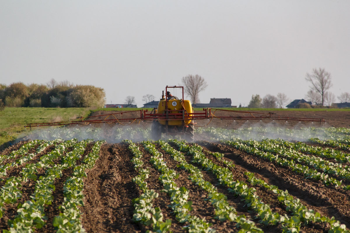 Veldspuit met brede spuitboom aan het werk over gewasrijen