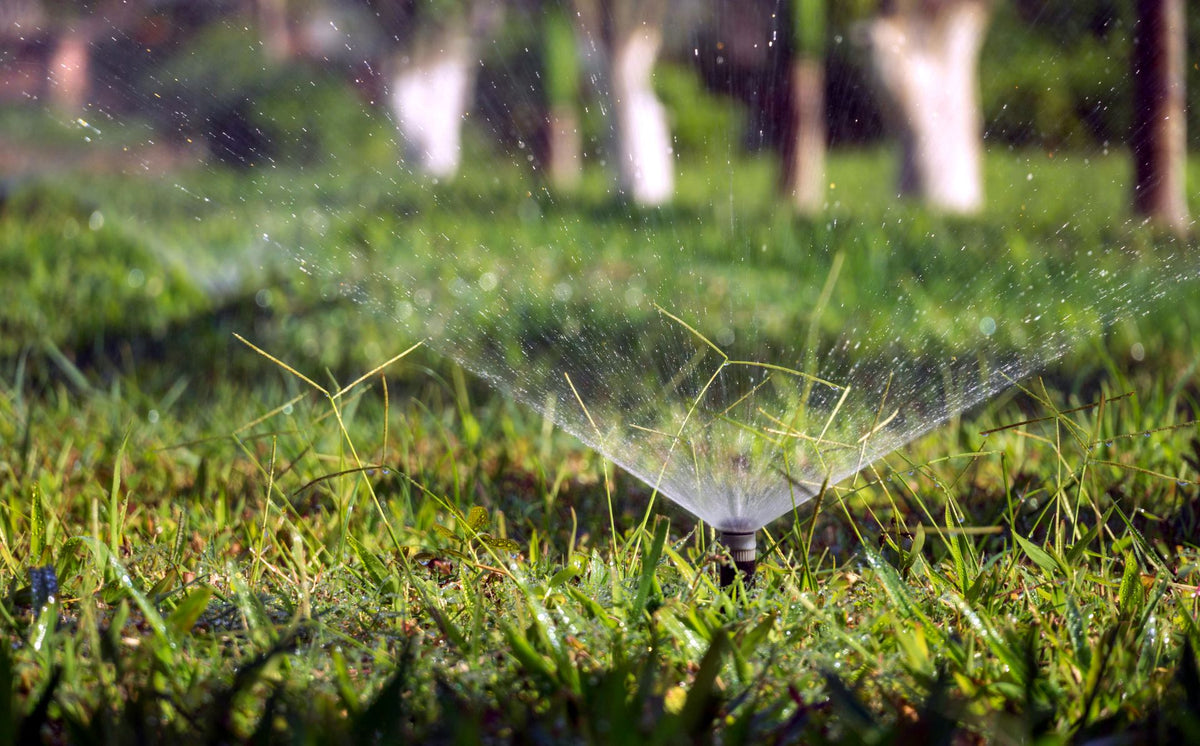 Hydrofoorpomp kiezen: constante druk uit put of regenwater