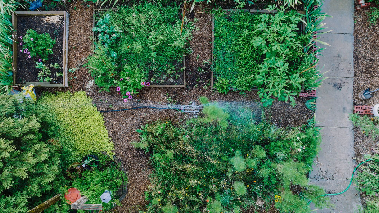 Beregeningsinstallatie met meerdere zones en sproeiers in een groene tuin