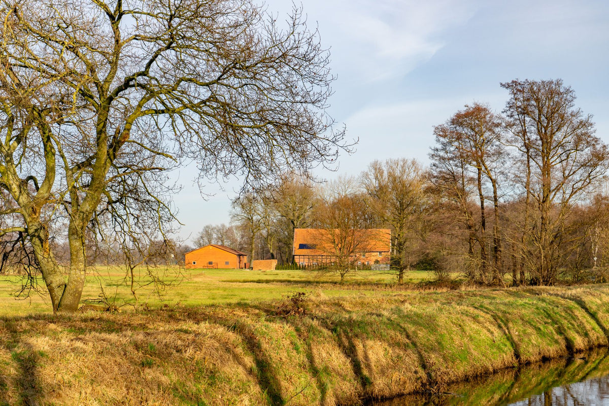 Verzorgd boerenerf in Rietberg, Duitsland, met velden en bomen