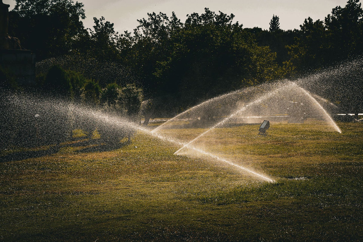 Automatische sproeiers beregenen een groen park in de zomer