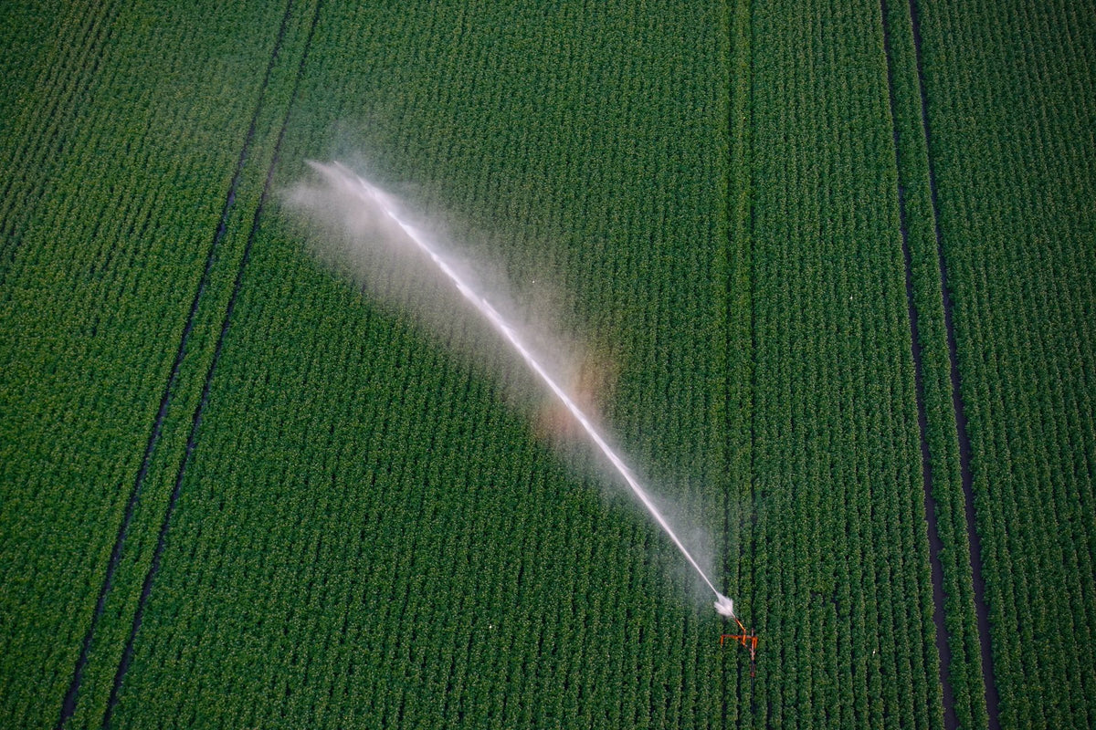 Beregeningssysteem in actie boven een groen veld in Drenthe