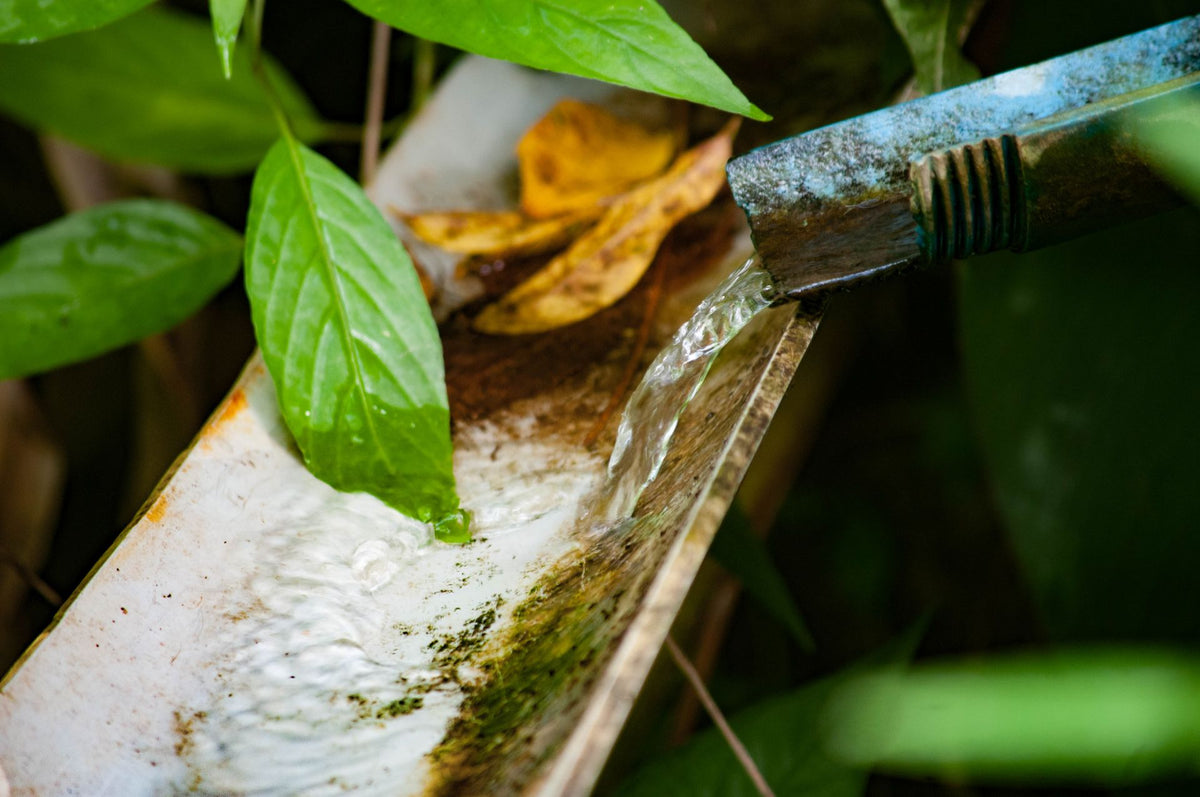 Waterleiding in de tuin — kogelkraan voor beregening afsluiten