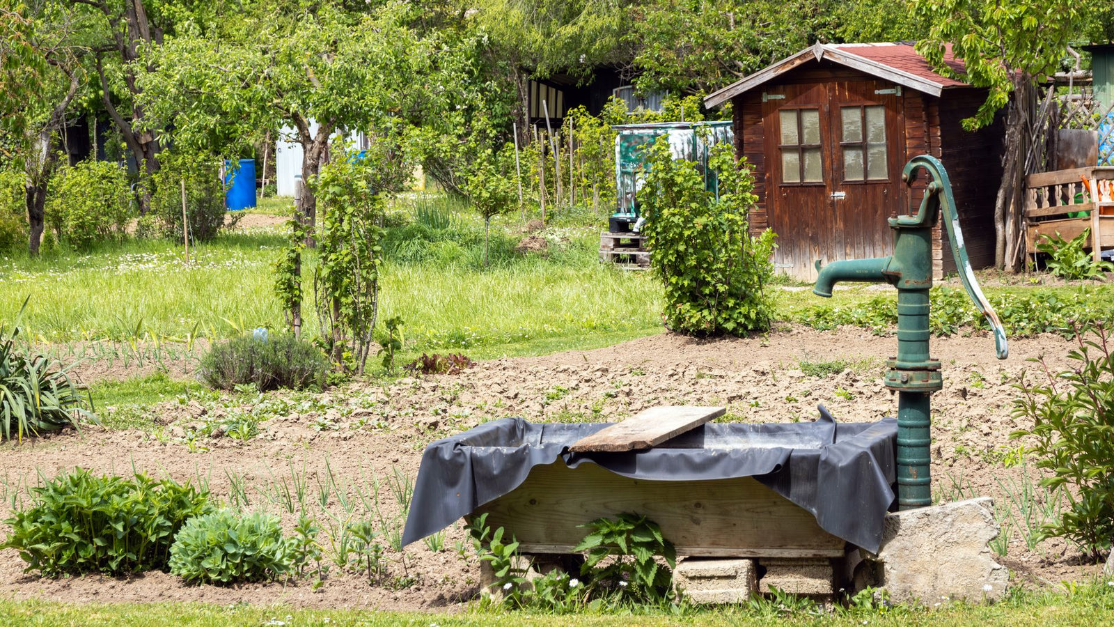Wat is de beste beregeningspomp voor mijn tuin?
