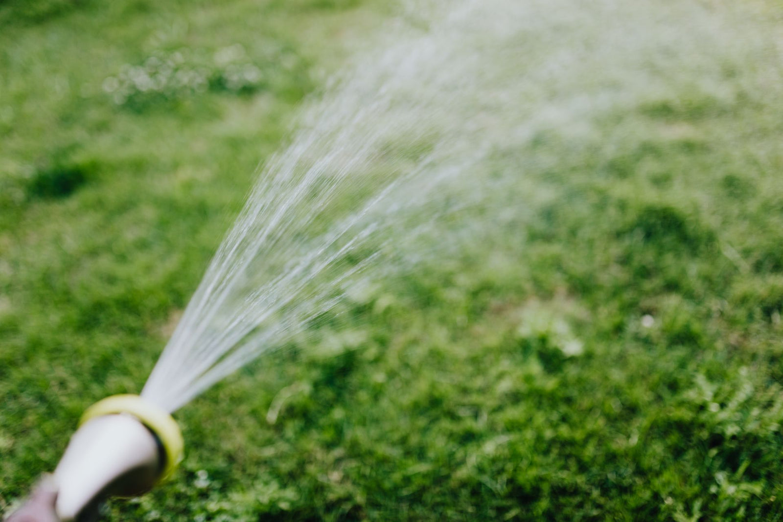 Beregening op bronwater: welke pomp heb je nodig?