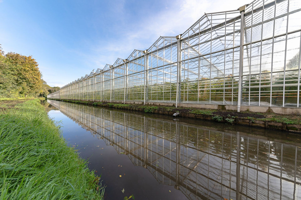 Glazen kassen langs een kanaal, omgeven door groen, in een Nederlandse agrarische omgeving
