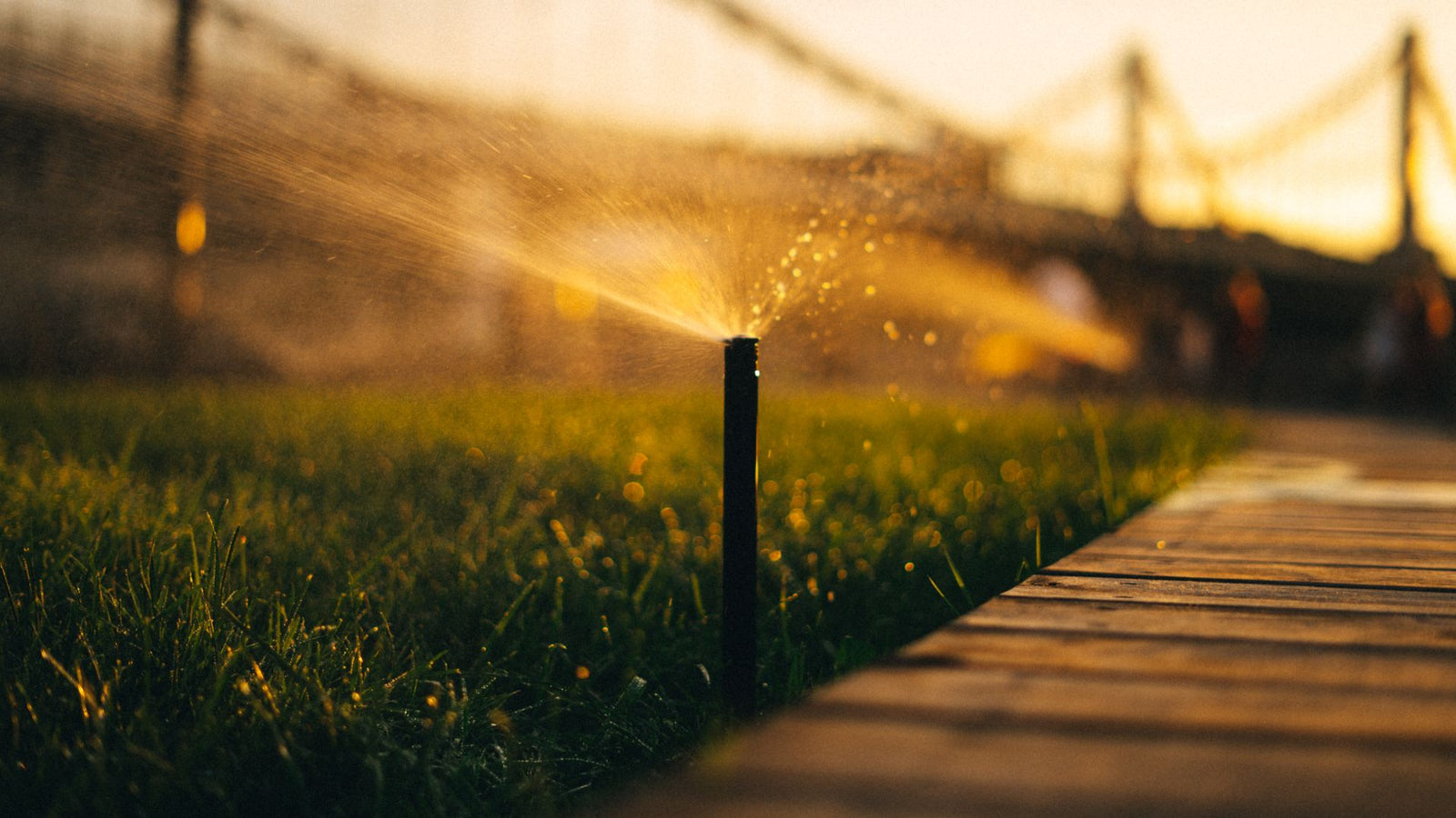 Sproeier besproeit groen gazon in een Westerse tuin op een zonnige zomerdag