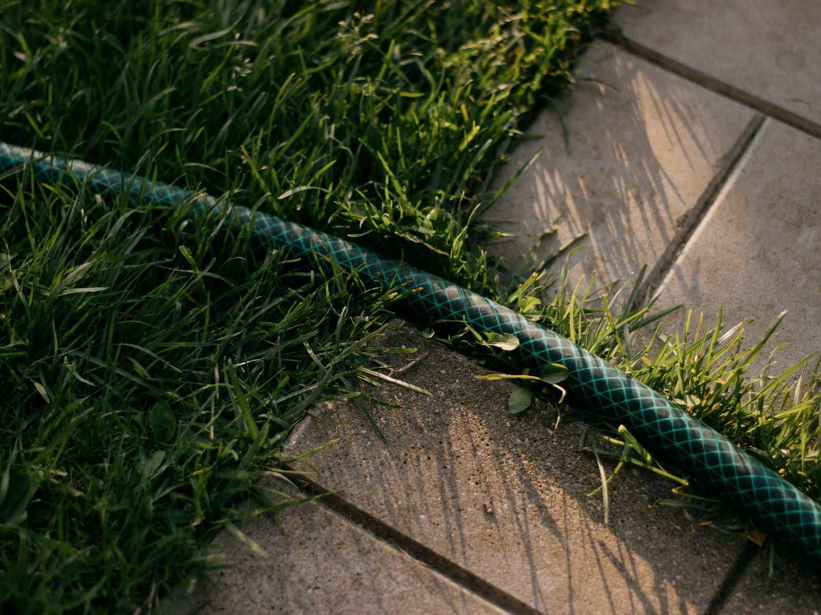 Groene waterslang op groen gazon in tuin - tyleenslang voor beregeningssysteem