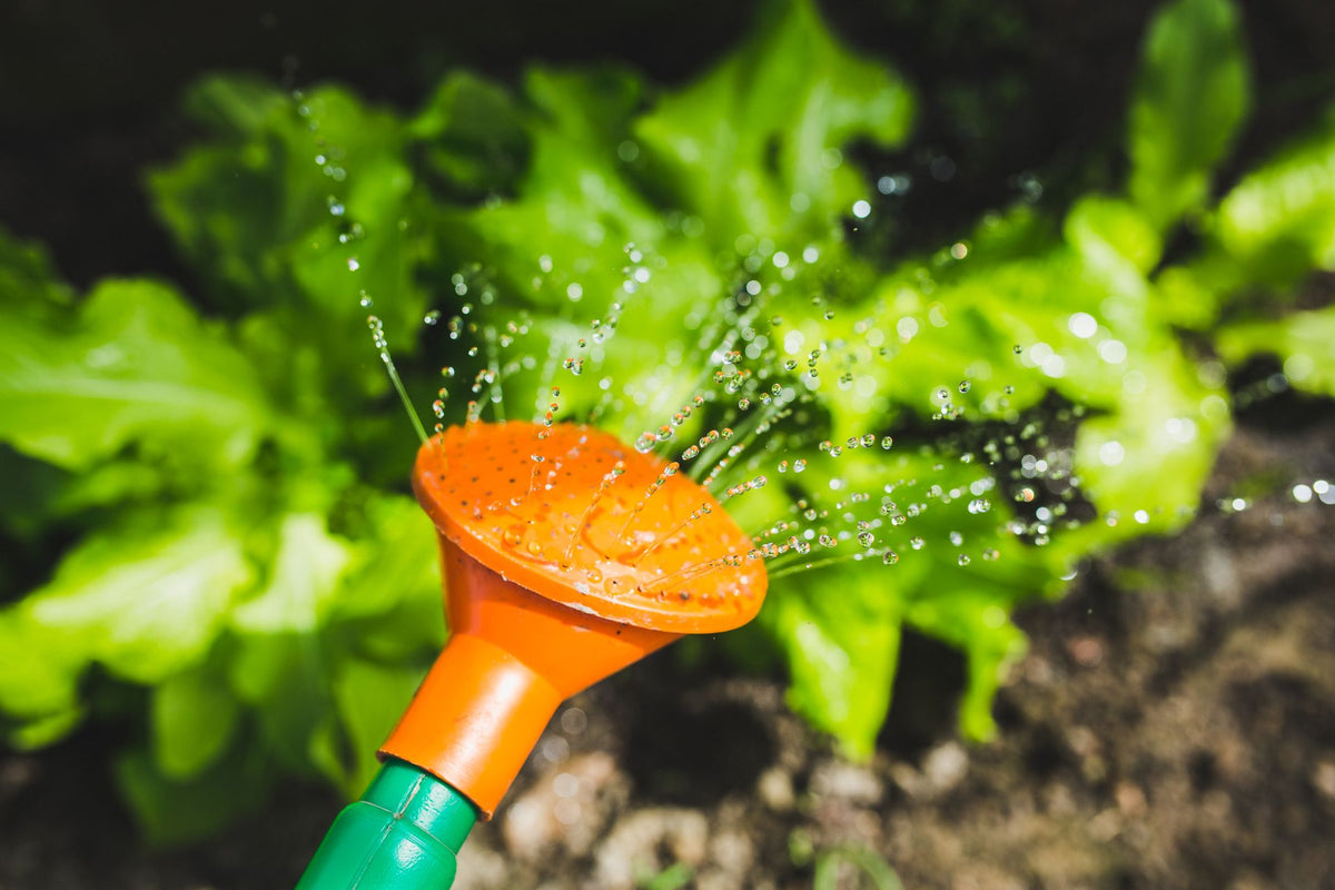Beregeningsinstallatie in een groene tuin met water op de planten
