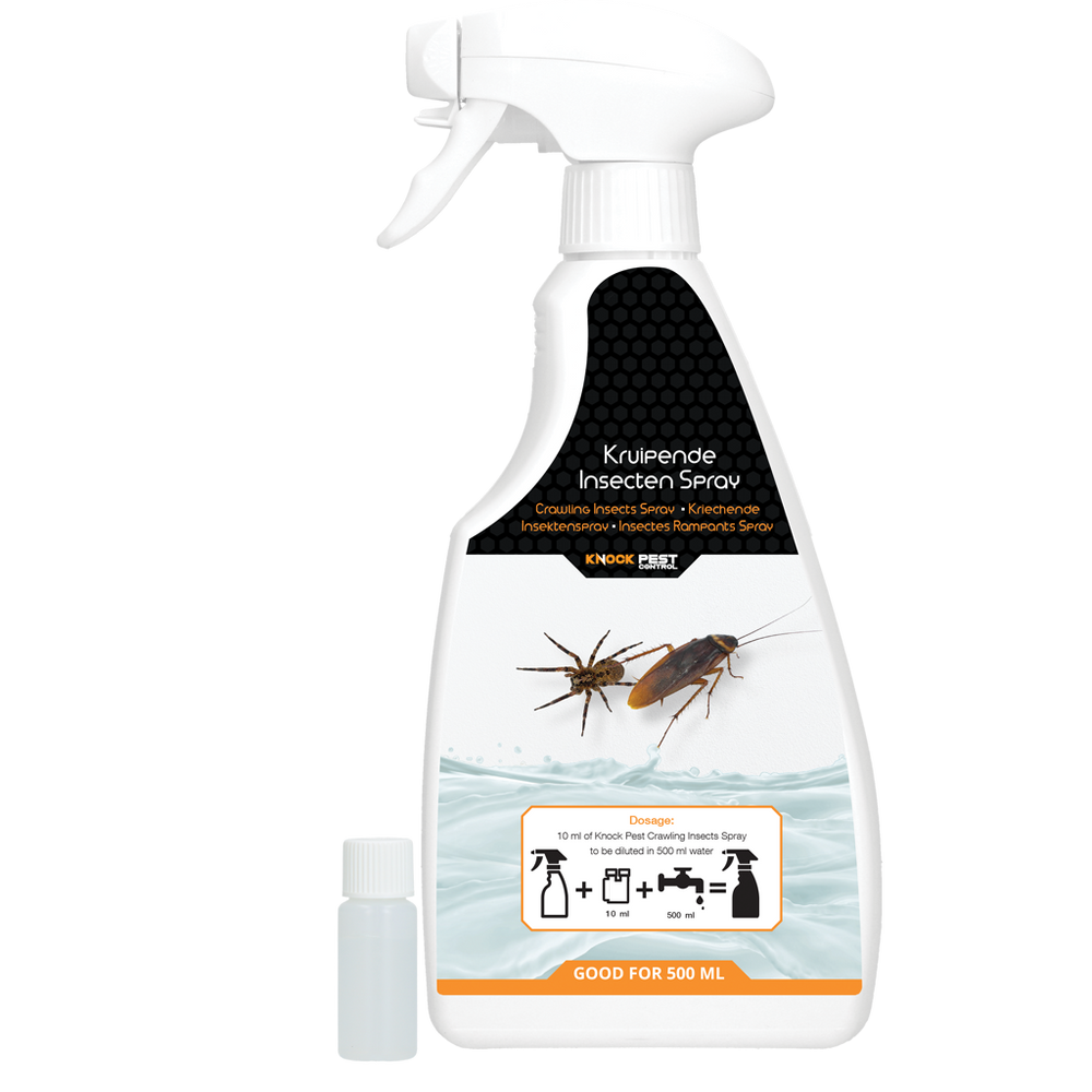 Kriechende Insekten & Spinnen