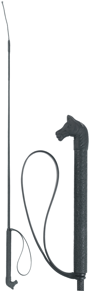 Stal & weide paard