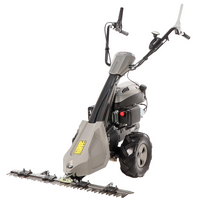 Balkmaaier 88 cm BlackStone SM 65-880, 196 cc motor | Rabe