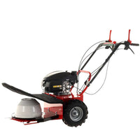 Wielmaaier 60 cm Blue Bird Alhambra TS PRO H0, motor Honda GCV 200 | Rabe
