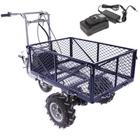 Accu motorkruiwagen laadvermogen 230 kg BullMach Helios 230 O, 48 V 2 Ah | Rabe