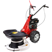 Wielmaaier 57 cm Eurosystems Minieffe RM, motor Rato RV200 | Rabe