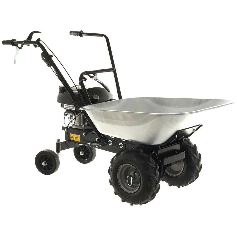 Motorkruiwagen laadvermogen 100 kg Eurosystems Carry, motor Honda GCVx 170 | Rabe