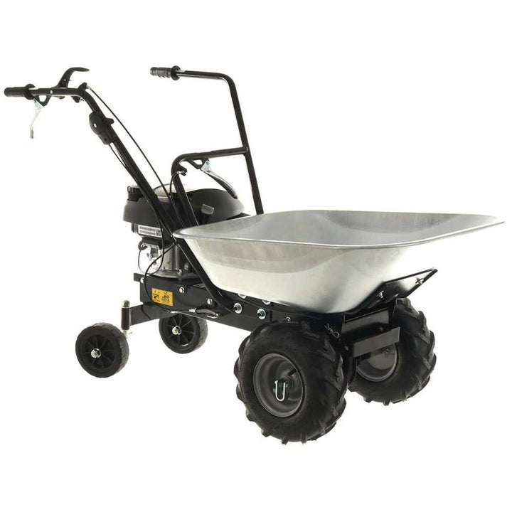 
  Motorkruiwagen laadvermogen 100 kg Eurosystems Carry, motor Honda GCVx 170 | Rabe - artikelnummer K601281
