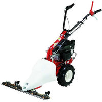 Balkmaaier 87 cm Eurosystems M210, motor B&S 625 | Rabe