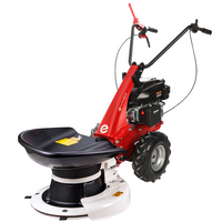 Wielmaaier 57 cm Eurosystems Minieffe, motor Rato RV200 | Rabe