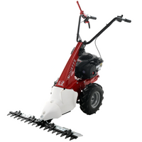 Balkmaaier 87 cm Eurosystems Minieffe, motor B&S 450E | Rabe