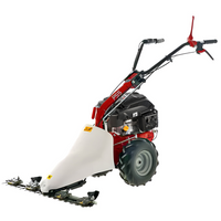 Balkmaaier 87 cm Eurosystems P55, motor Rato RV200 | Rabe