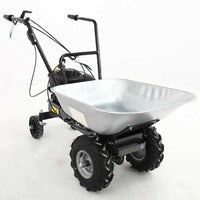 Motorkruiwagen laadvermogen 100 kg Eurosystems Wheelbarrow, motor B&S 450E petrol | Rabe