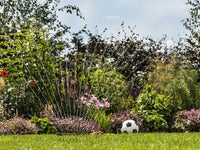 Bosch GardenPump 18V-2000 dompelpomp voor schoon water, zonder accu, detail 1