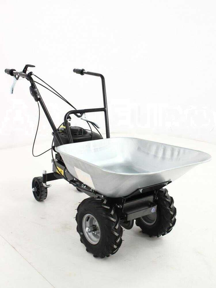 Motorkruiwagen laadvermogen 100 kg Eurosystems Wheelbarrow, motor B&S 450E petrol, detail 1