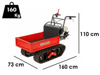 Rupsdumper laadvermogen 350 kg Benassi M353H, detail 1