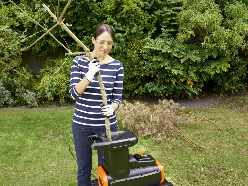 Black & Decker BEGAS5800-QS elektrische hakselaar, takken tot 45 mm, detail 2