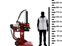 Ceccato Olindo BULL SPL16-TCH benzine houtklover, 16 ton, detail 2