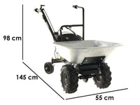 Motorkruiwagen laadvermogen 100 kg Eurosystems Carry, motor Honda GCVx 170, detail 1