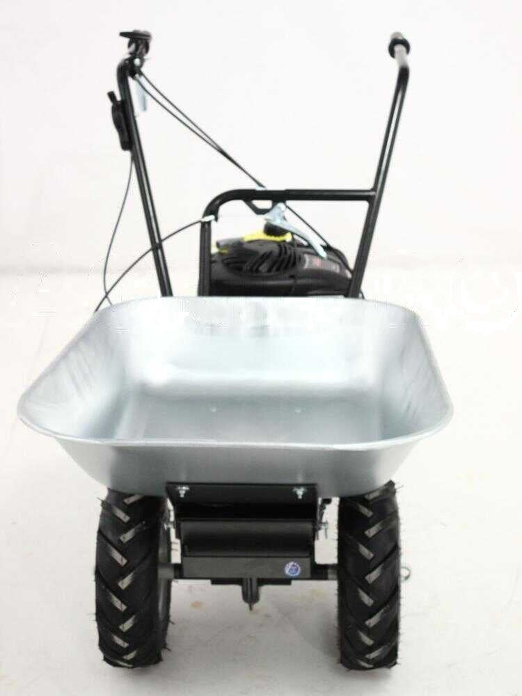 Motorkruiwagen laadvermogen 100 kg Eurosystems Wheelbarrow, motor B&S 450E petrol, detail 2