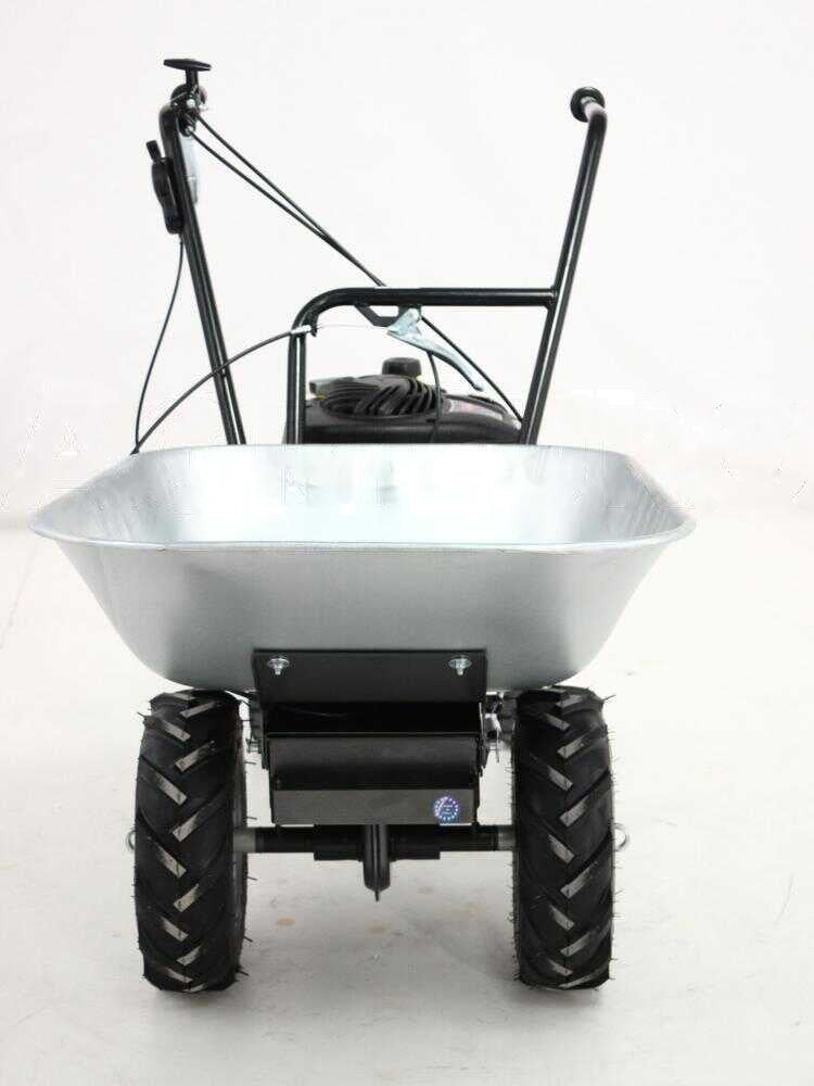 Motorkruiwagen laadvermogen 100 kg Eurosystems Wheelbarrow, motor B&S 450E petrol, detail 3