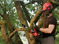 Skil 0534CA accu kettingzaag, zwaard 30 cm, 20 V 2 Ah, detail 4