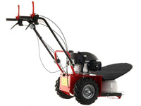 Wielmaaier 60 cm Blue Bird Alhambra TS PRO H0, motor Honda GCV 200, detail 4
