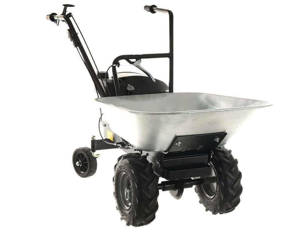 Motorkruiwagen laadvermogen 100 kg Eurosystems Carry, motor Honda GCVx 170, detail 4