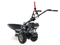 Wielmaaier 57 cm Eurosystems P55, motor Honda GCVX 170, detail 4