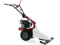 Balkmaaier 87 cm Eurosystems M210, motor Loncin LC1P65FE, detail 6