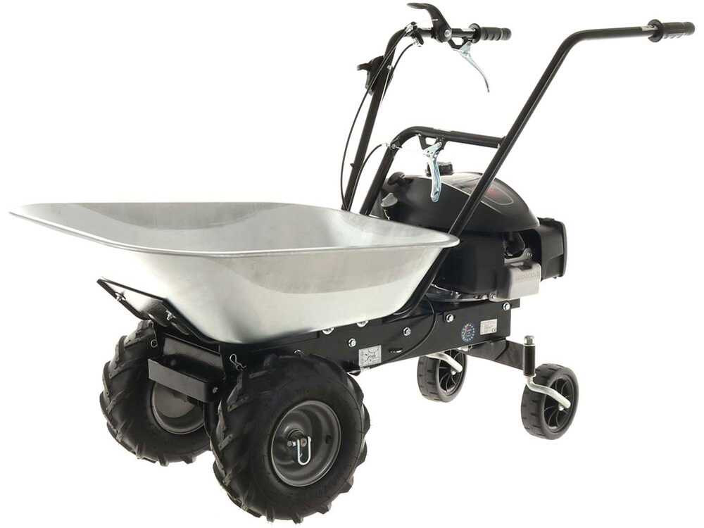 Motorkruiwagen laadvermogen 100 kg Eurosystems Carry, motor Honda GCVx 170, detail 8