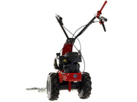 Balkmaaier 87 cm Eurosystems M90, motor B&S 450 E, detail 8