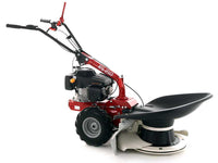 Wielmaaier 64 cm Eurosystems RS210, motor Loncin 196 OHV, detail 8