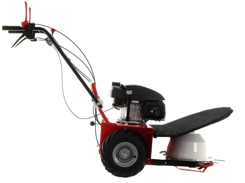 Wielmaaier 60 cm Blue Bird Alhambra TS PRO H0, motor Honda GCV 200, detail 9