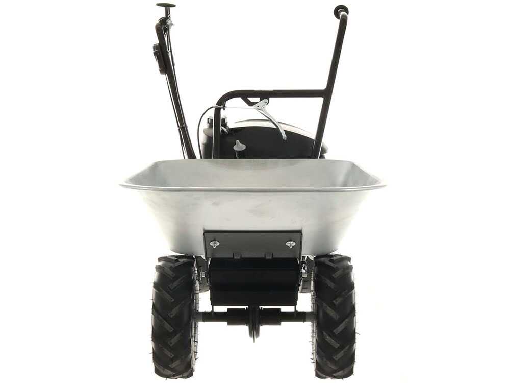 Motorkruiwagen laadvermogen 100 kg Eurosystems Carry, motor Honda GCVx 170, detail 10