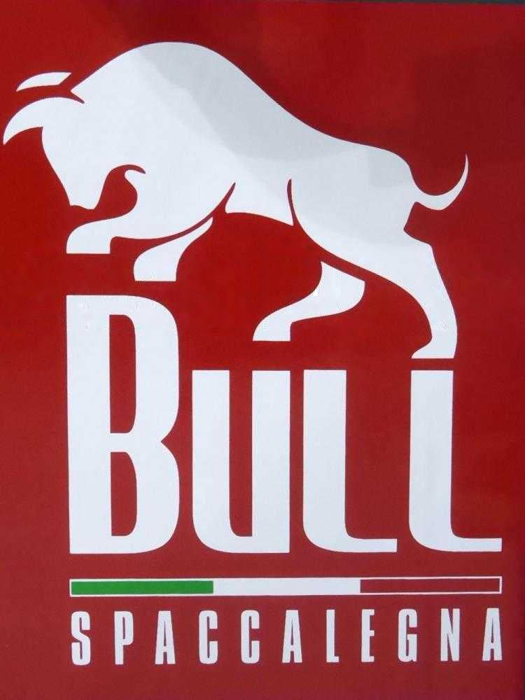 Ceccato Olindo BULL SPLT13R4 13 aftakas houtklover, 13 ton, verticaal, slag 500 mm, detail 12