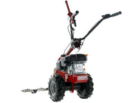 Balkmaaier 87 cm Eurosystems M210, motor Loncin LC1P65FE, detail 11